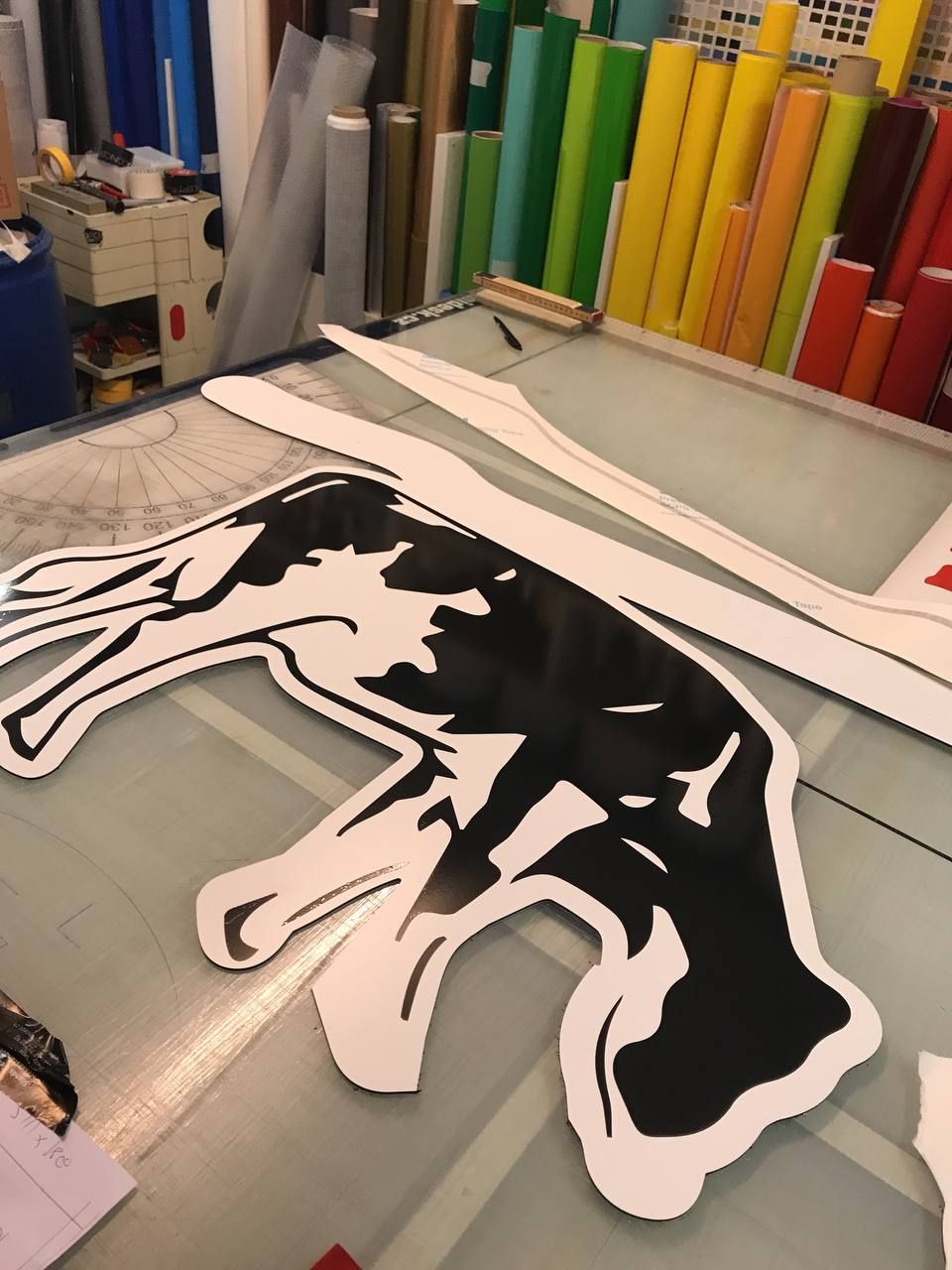 CDS Holstein 2021 1/4