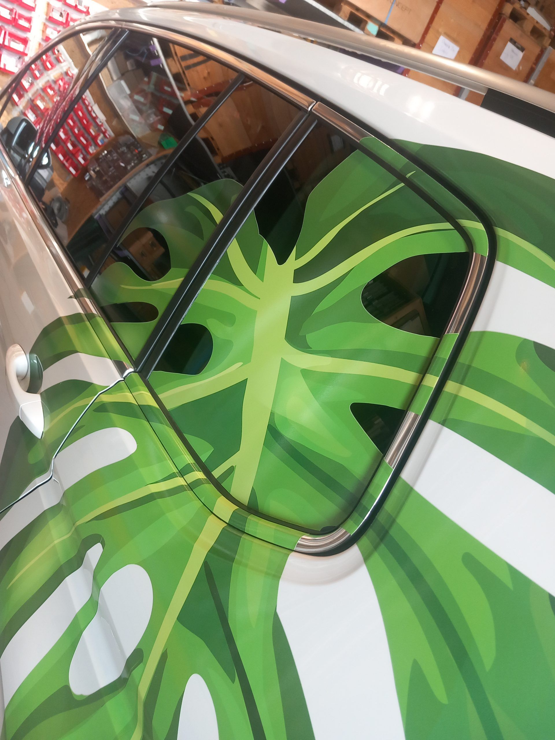 La belle feuille 2025 3/4