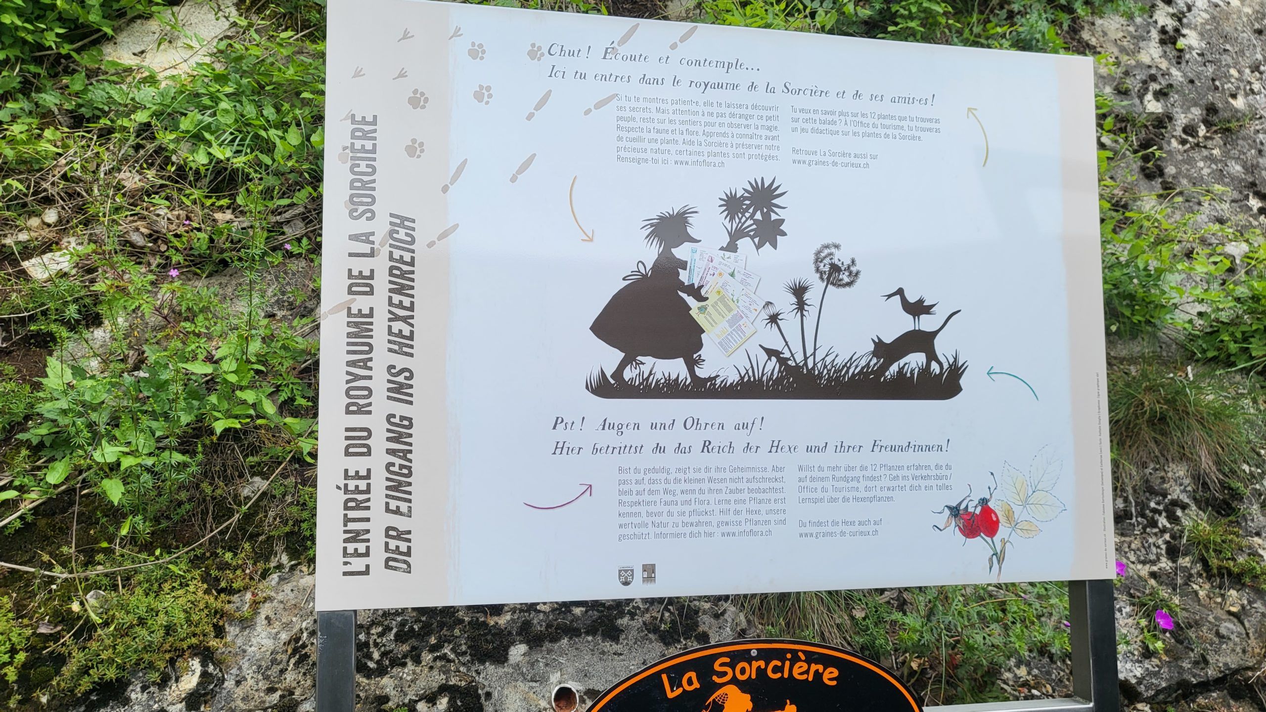 Ballade de la sorcière 2023 3/4