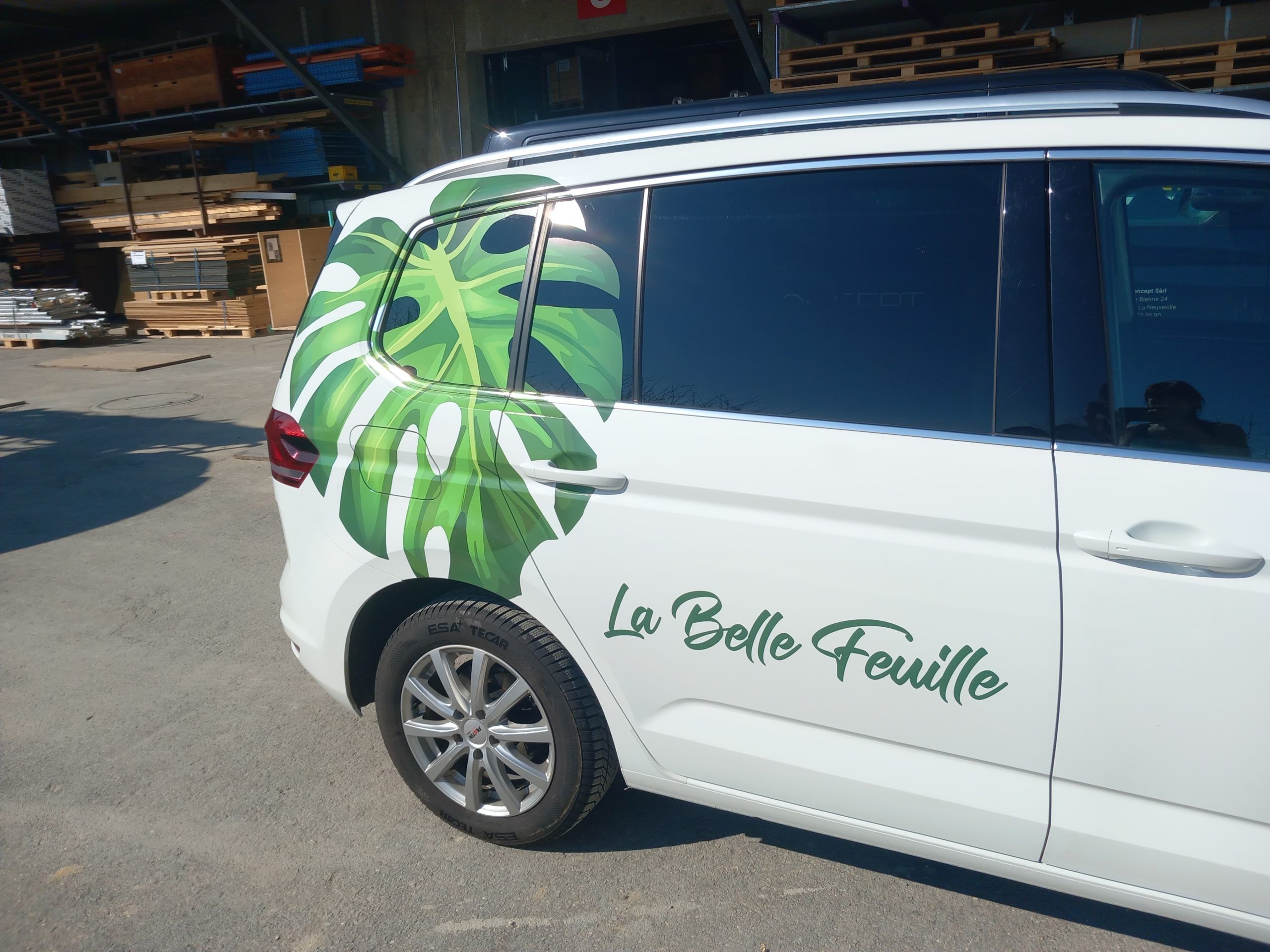 La belle feuille 2025 2/4